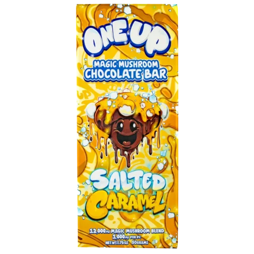Salted Caramel Mushroom Chocolate Bars