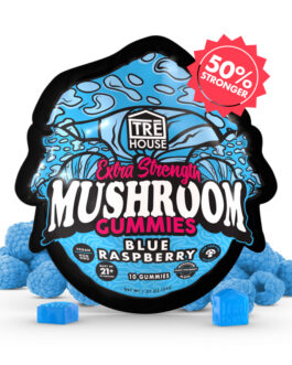 Blue Raspberry Magic Mushroom Gummies