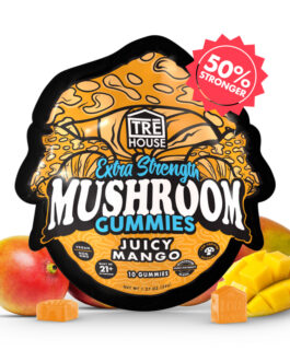 Juicy Mango Magic Mushroom Gummies